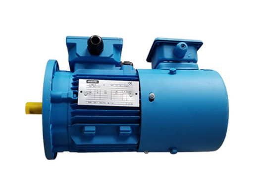 MSVF系列铝壳三相异步变频电动机